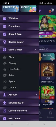 PKR Spin Game Screenshot - Aviator Multiplier